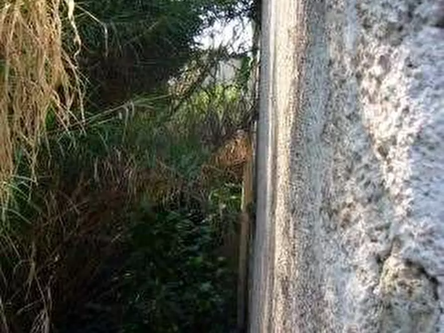 Immagine 6 di Appartamento in vendita  in Via Santa Maria le Quinte a Velletri