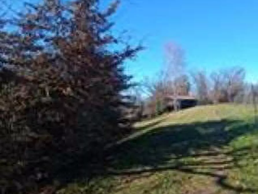 Immagine 3 di Terreno agricolo in vendita  in Frazione Felettano a Tricesimo