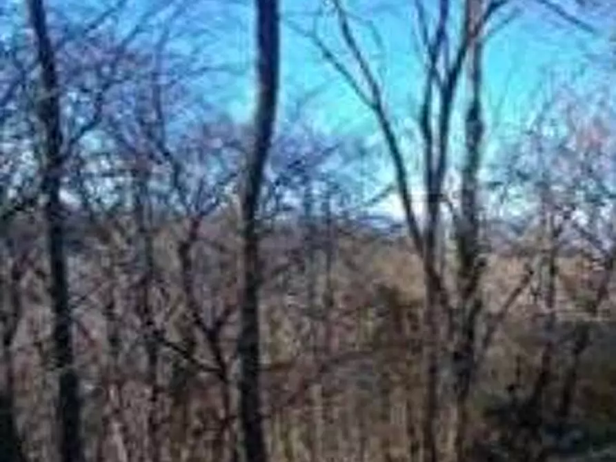 Immagine 4 di Terreno agricolo in vendita  in Frazione Felettano a Tricesimo