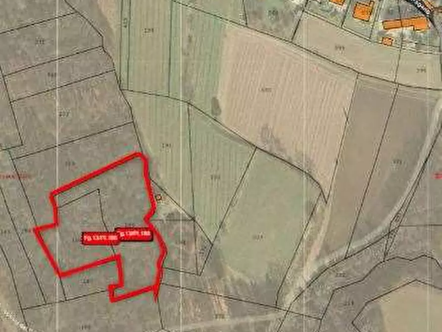 Immagine 16 di Terreno agricolo in vendita  in Frazione Felettano a Tricesimo