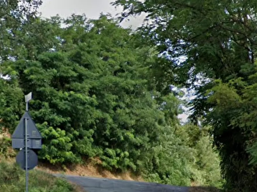 Immagine 11 di Casa indipendente in vendita  in Via Palareto a Mercato Saraceno