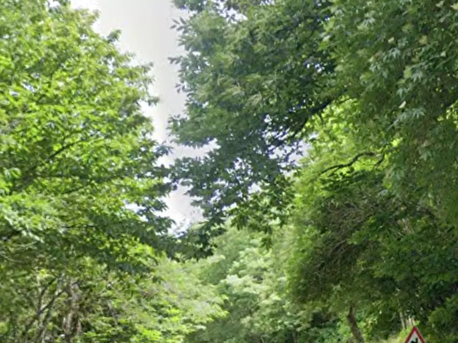 Immagine 9 di Appartamento in vendita  in Via Ca' del Vento a Bagno Di Romagna