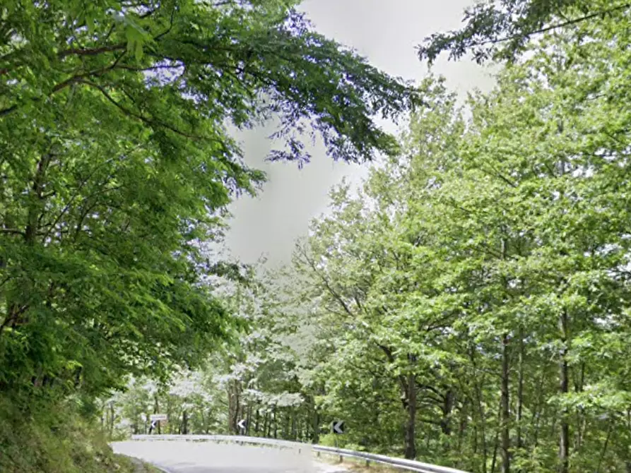 Immagine 10 di Appartamento in vendita  in Via Ca' del Vento a Bagno Di Romagna