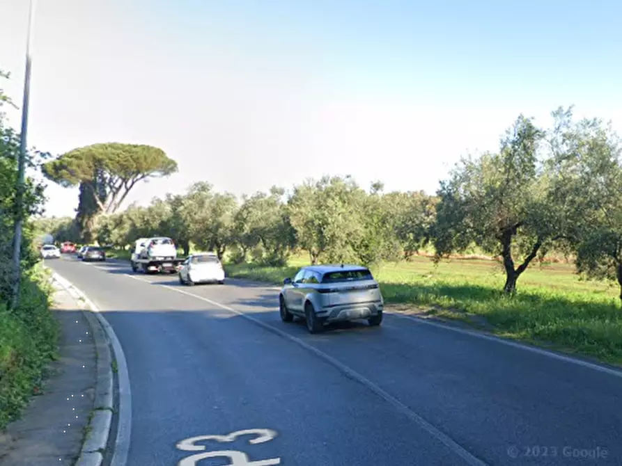 Immagine 9 di Terreno agricolo in vendita  in Località Aprilia Latina a Aprilia