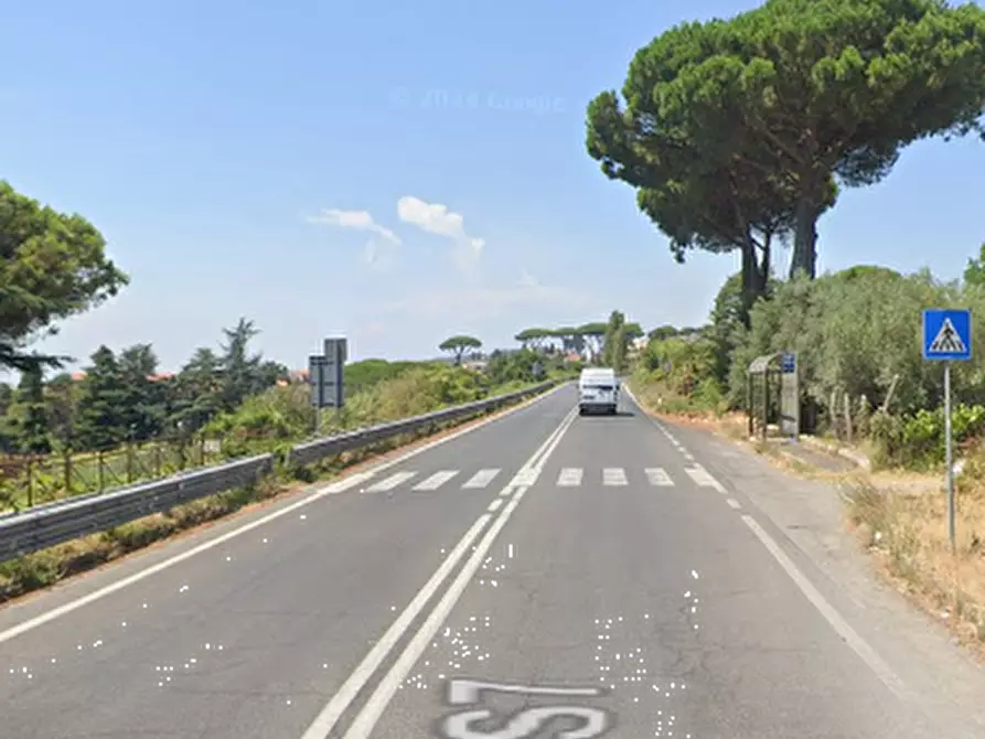 Immagine 4 di Terreno agricolo in vendita  in Località Montecanino a Nemi