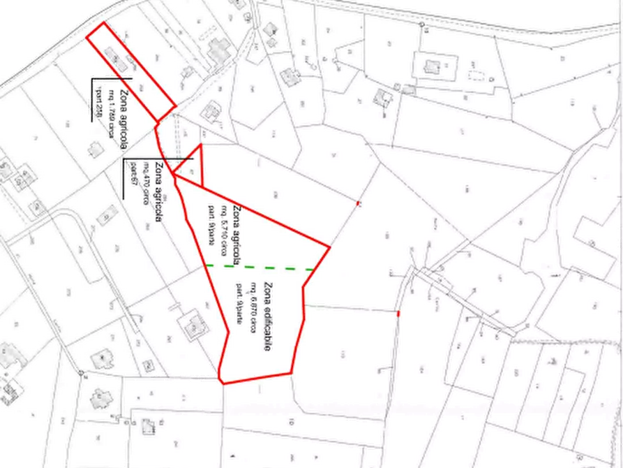 Immagine 6 di Terreno agricolo in vendita  in Località Montecanino a Nemi