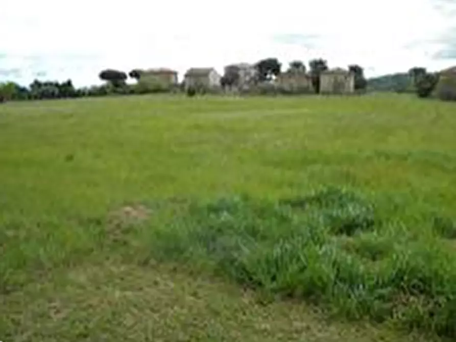 Immagine 2 di Terreno edificabile in vendita  in Via Alessandrini a Mondolfo