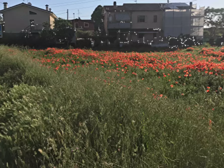 Immagine 1 di Terreno edificabile in vendita  in Frazione di Rosciano a Fano