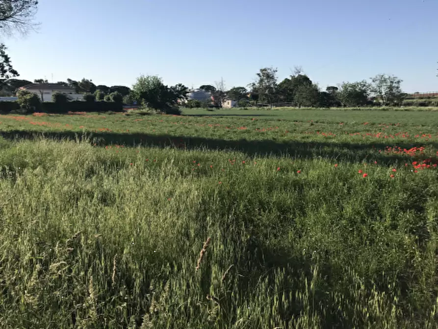 Immagine 3 di Terreno edificabile in vendita  in Via Baretti a Fano