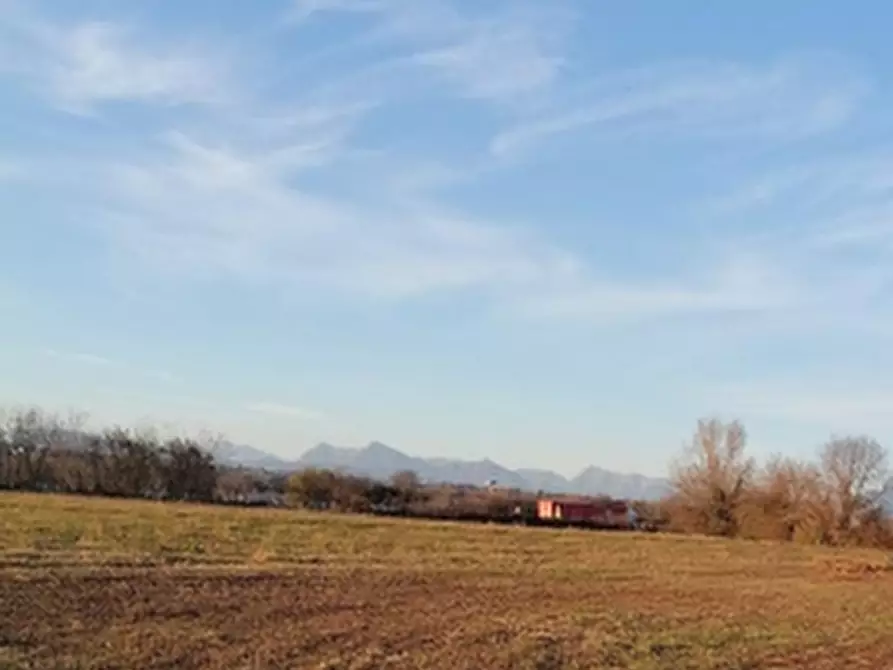Immagine 2 di Terreno agricolo in vendita  in Strada Longaris a Tavagnacco