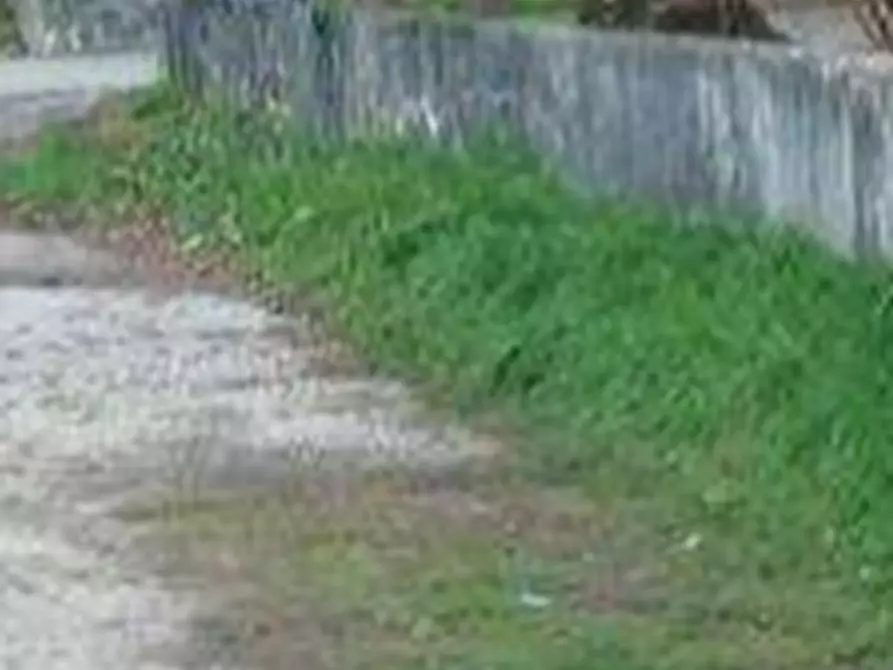 Immagine 6 di Terreno agricolo in vendita  in Strada Longaris a Tavagnacco