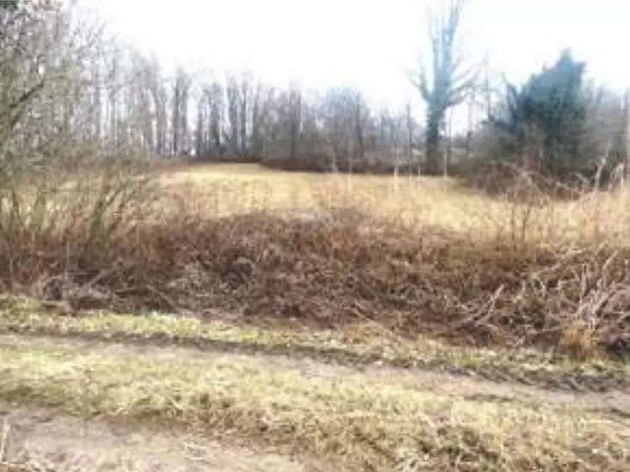 Immagine 5 di Terreno agricolo in vendita  in Via S. Luca a San Daniele Del Friuli