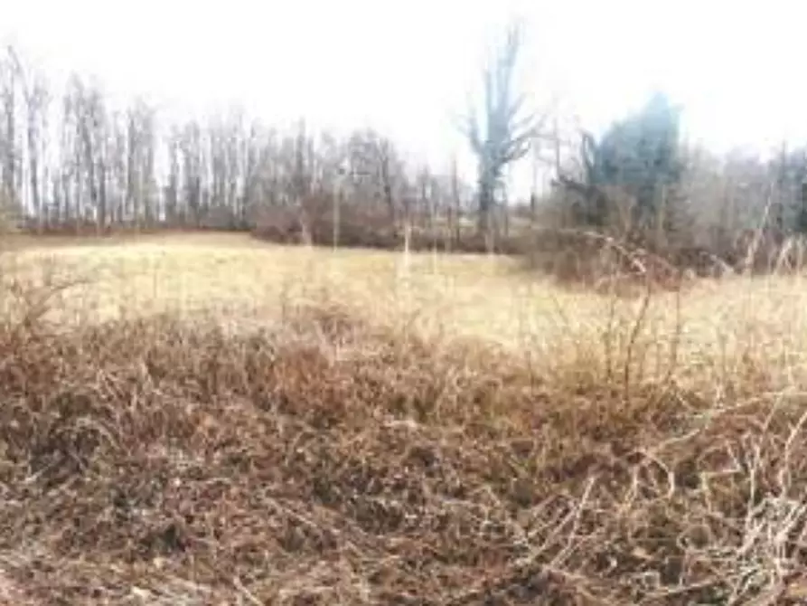Immagine 6 di Terreno agricolo in vendita  in Via S. Luca a San Daniele Del Friuli