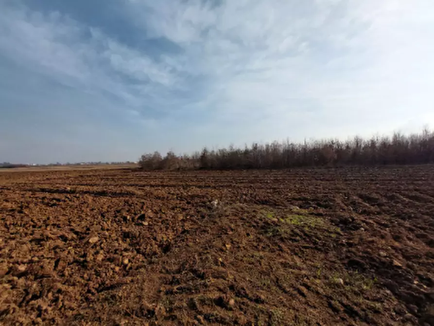 Immagine 1 di Terreno agricolo in vendita  in Via S. Luca a San Daniele Del Friuli
