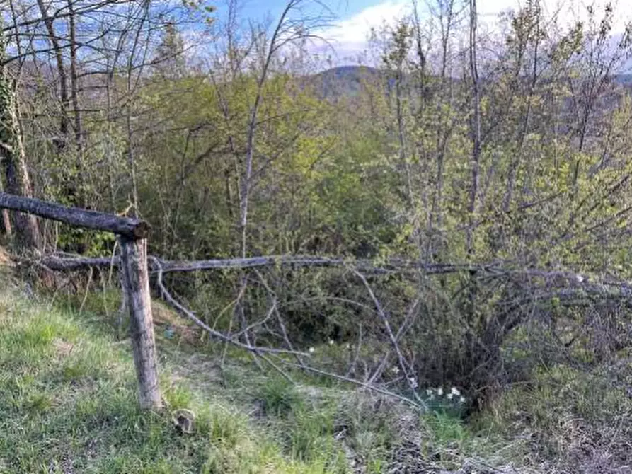 Immagine 2 di Terreno agricolo in vendita  in Località La Pilla a Monzuno
