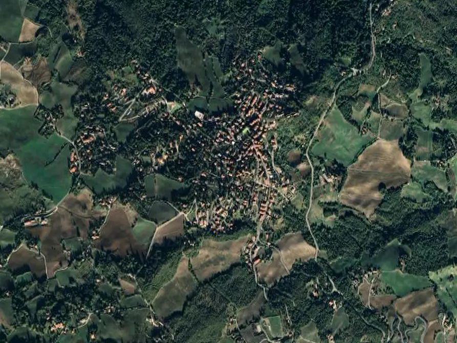 Immagine 8 di Terreno agricolo in vendita  in Località La Pilla a Monzuno