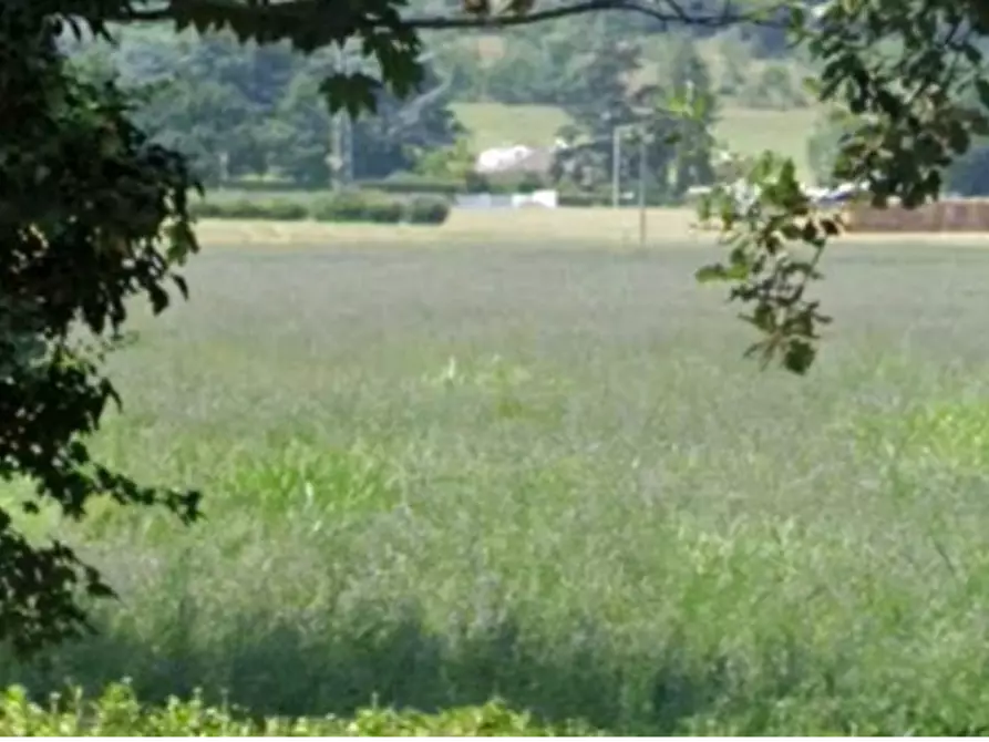 Immagine 2 di Terreno agricolo in vendita  in Via Maranina a Sasso Marconi