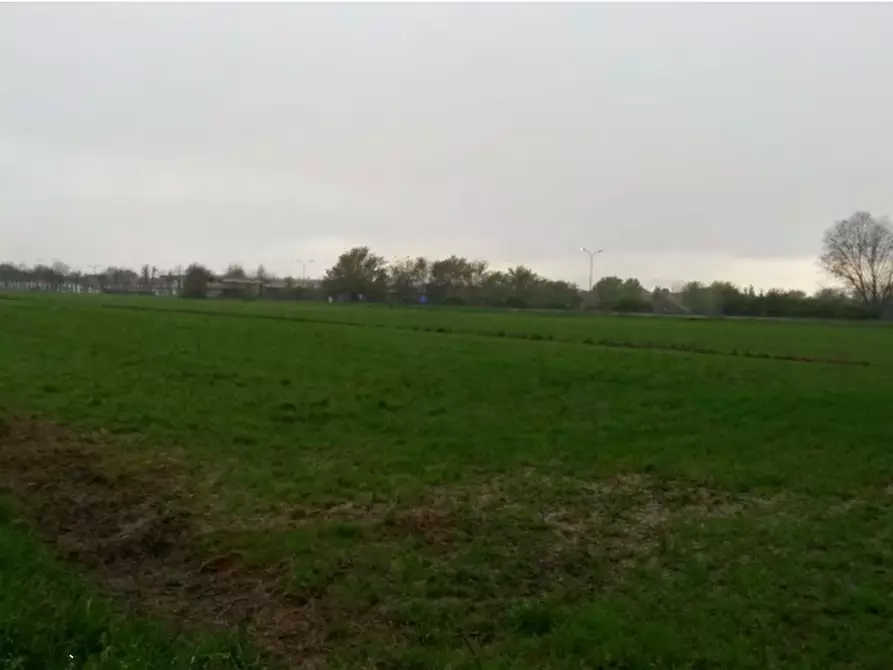 Immagine 3 di Rustico / casale in vendita  in località Argelato  a Argelato