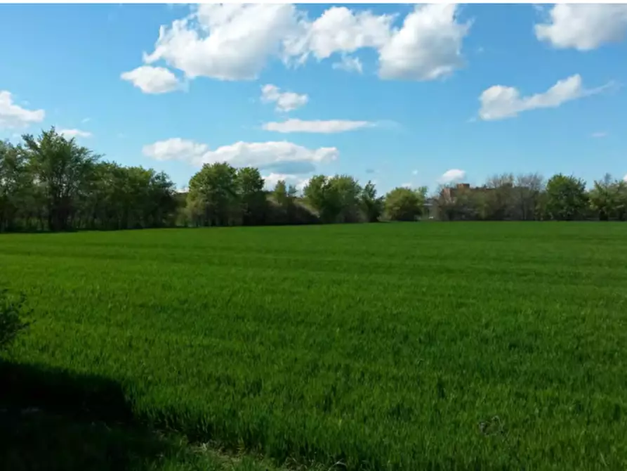 Immagine 6 di Rustico / casale in vendita  in località Argelato  a Argelato