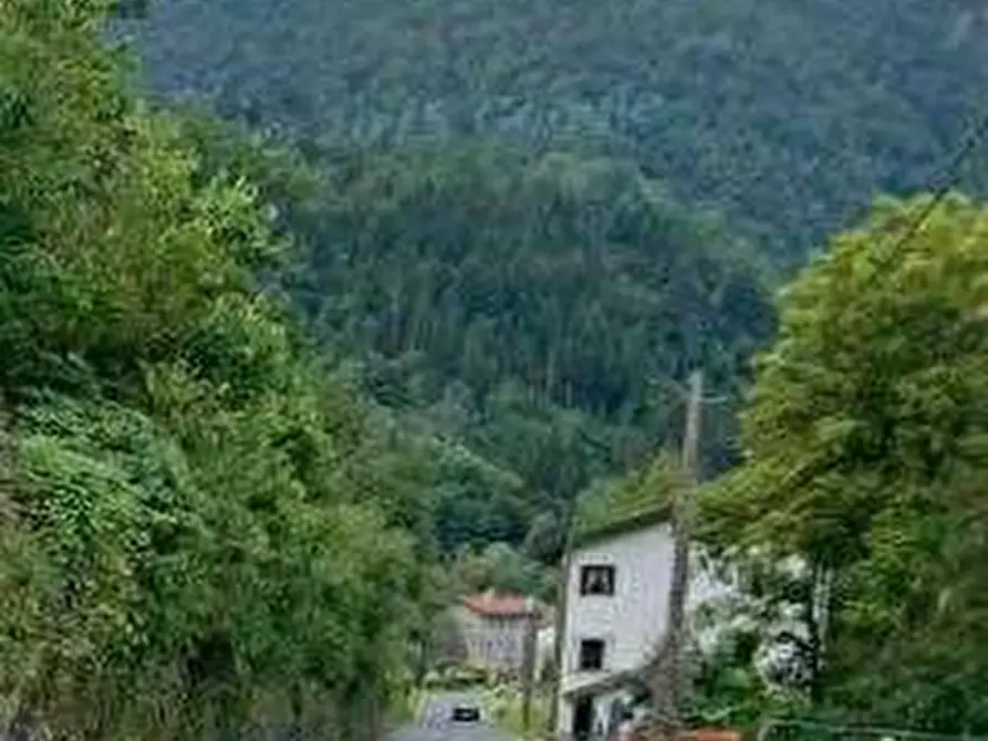 Immagine 6 di Stabile in vendita  in Via Roma a Lusevera