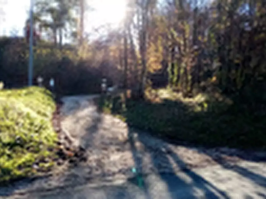 Immagine 2 di Terreno agricolo in vendita  in Località Torricciola a Artena
