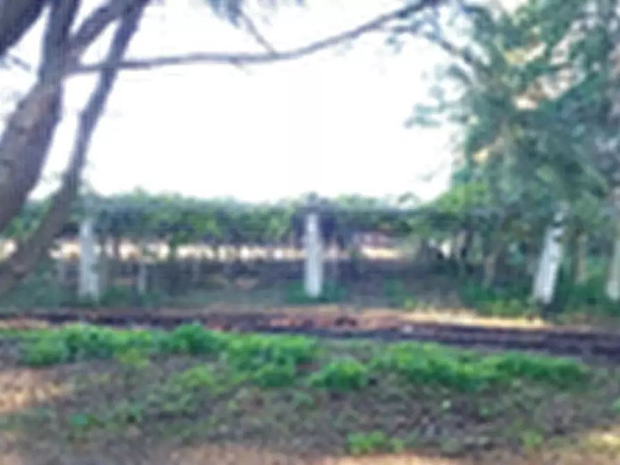 Immagine 5 di Terreno agricolo in vendita  in Località Torricciola a Artena