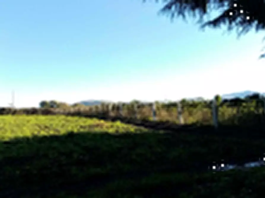 Immagine 8 di Terreno agricolo in vendita  in Località Torricciola a Artena