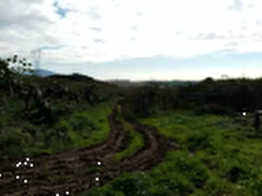 Immagine 12 di Terreno agricolo in vendita  in Località Torricciola a Artena