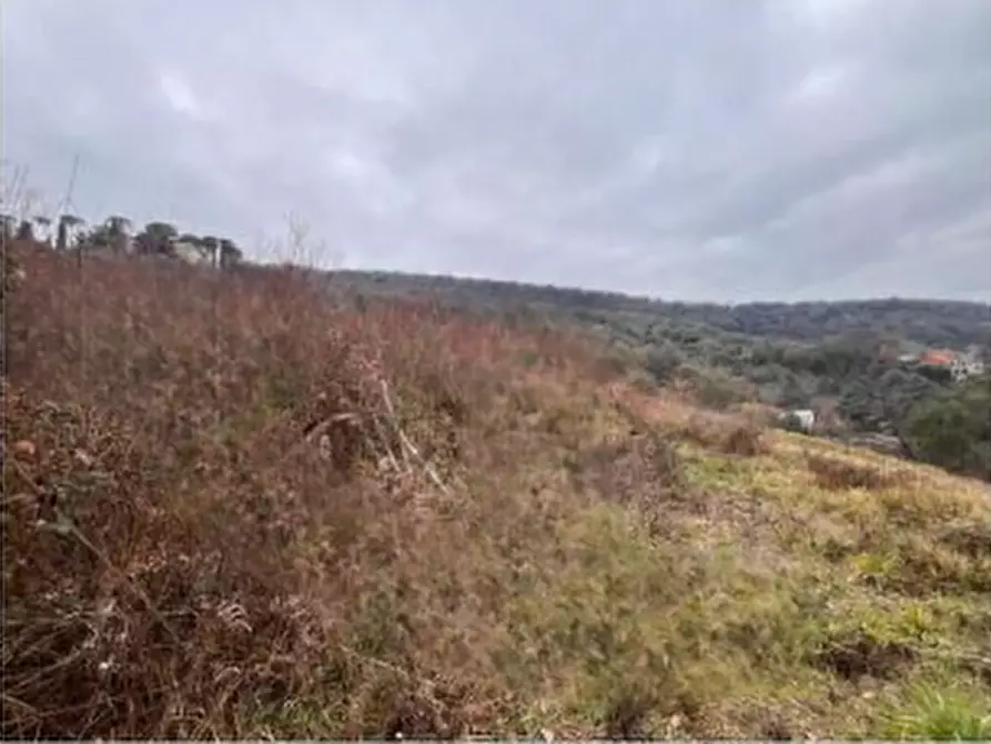 Immagine 4 di Terreno edificabile in vendita  in Strada Arci  a Roma
