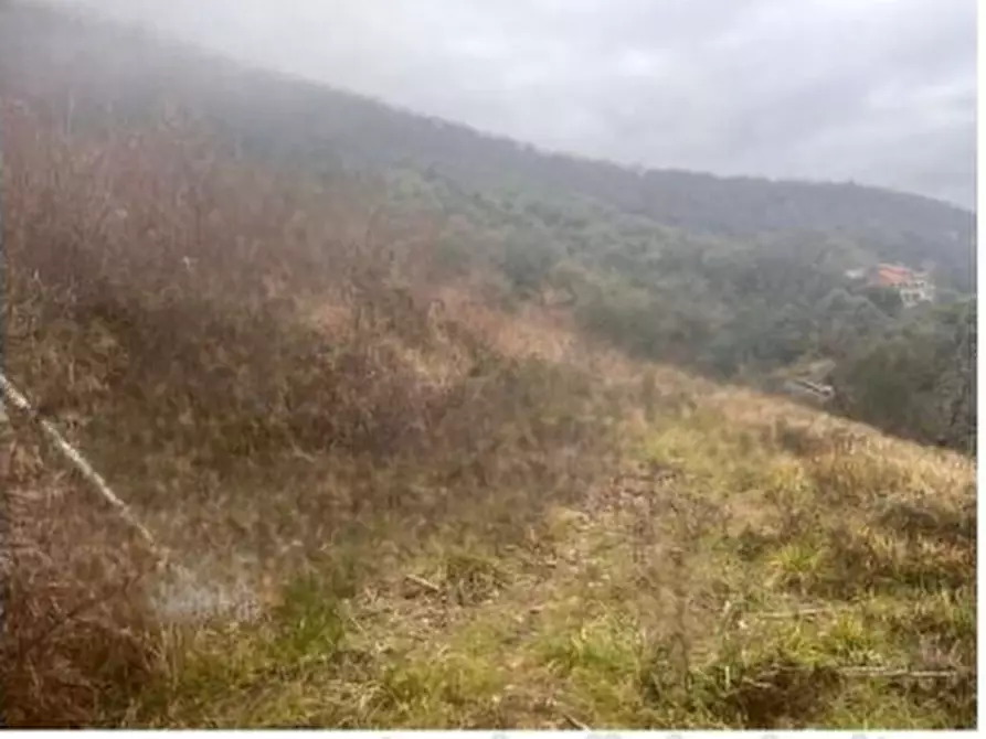 Immagine 5 di Terreno edificabile in vendita  in Strada Arci  a Roma