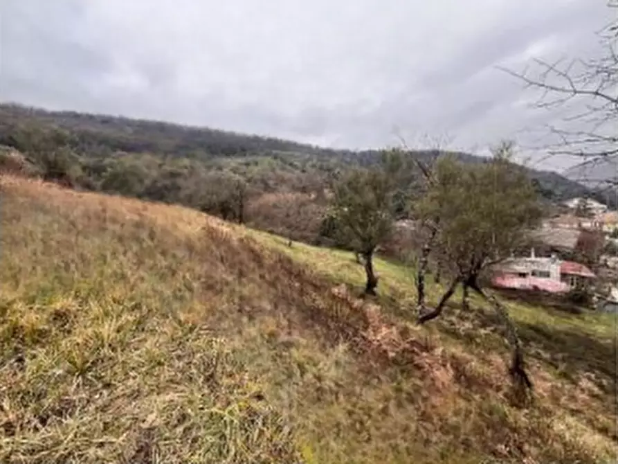 Immagine 2 di Terreno edificabile in vendita  in Strada Arci  a Roma