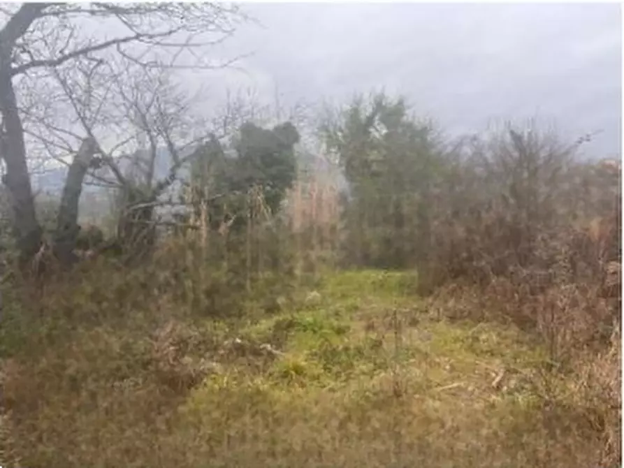 Immagine 7 di Terreno edificabile in vendita  in Strada Arci  a Roma