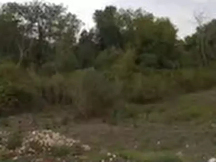 Immagine 1 di Terreno edificabile in vendita  in Località Colonnelle a Gallicano Nel Lazio