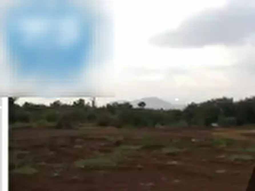 Immagine 4 di Terreno edificabile in vendita  in Località Colonnelle a Gallicano Nel Lazio