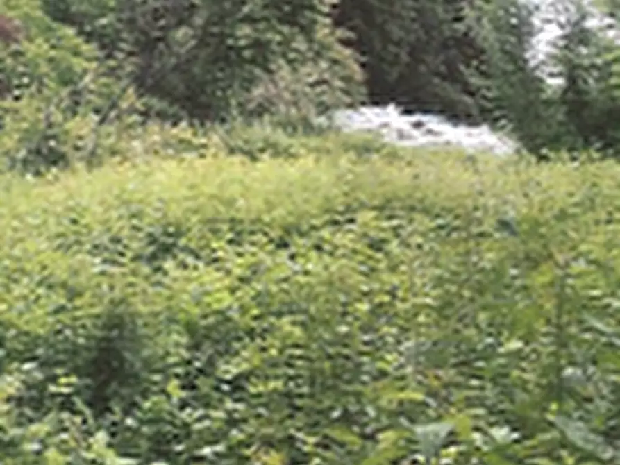 Immagine 10 di Laboratorio in vendita  in Via Manzoni a Basiano