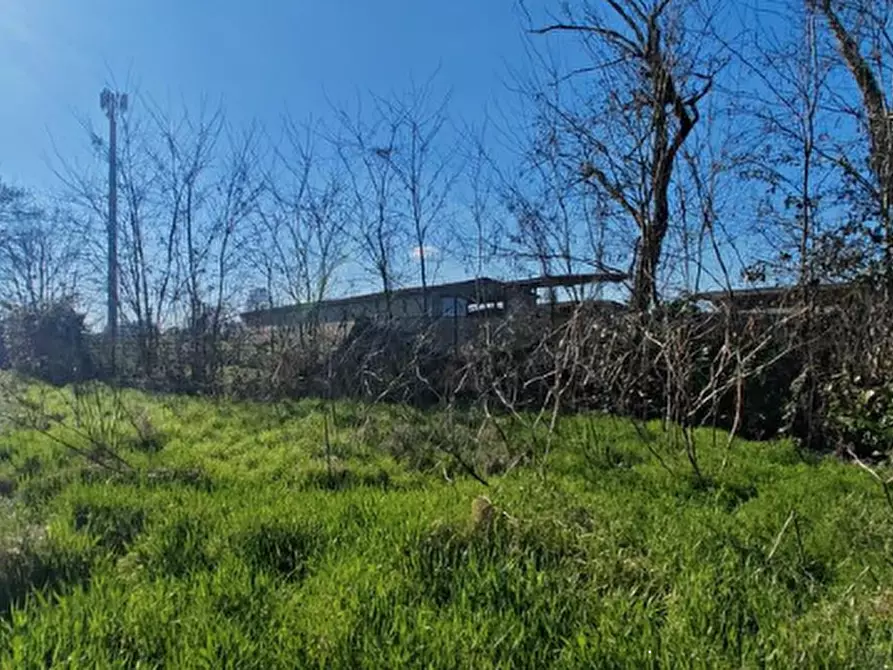 Immagine 4 di Villa in vendita  in Via Don Silvio Coira a Basiglio