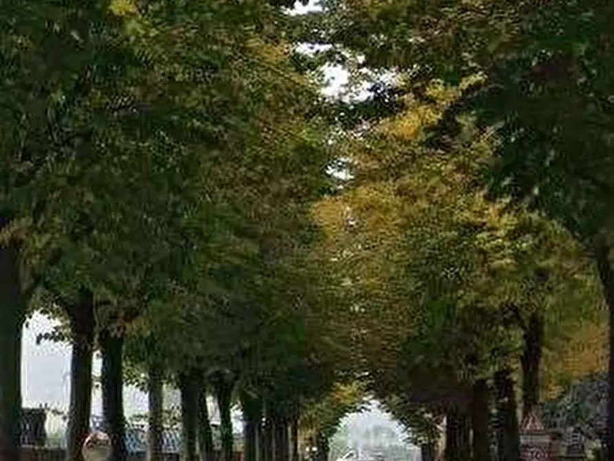 Immagine 5 di Terreno agricolo in vendita  in Via Colombera a Colturano