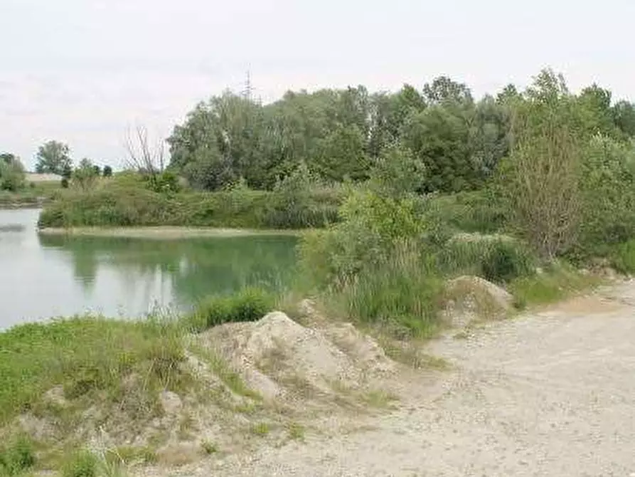 Immagine 2 di Terreno agricolo in vendita  in Via Colombera a Colturano