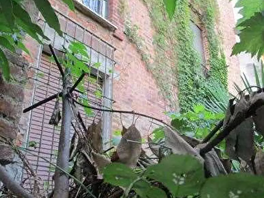 Immagine 4 di Laboratorio in vendita  in Via Giacomo Matteotti a Rho