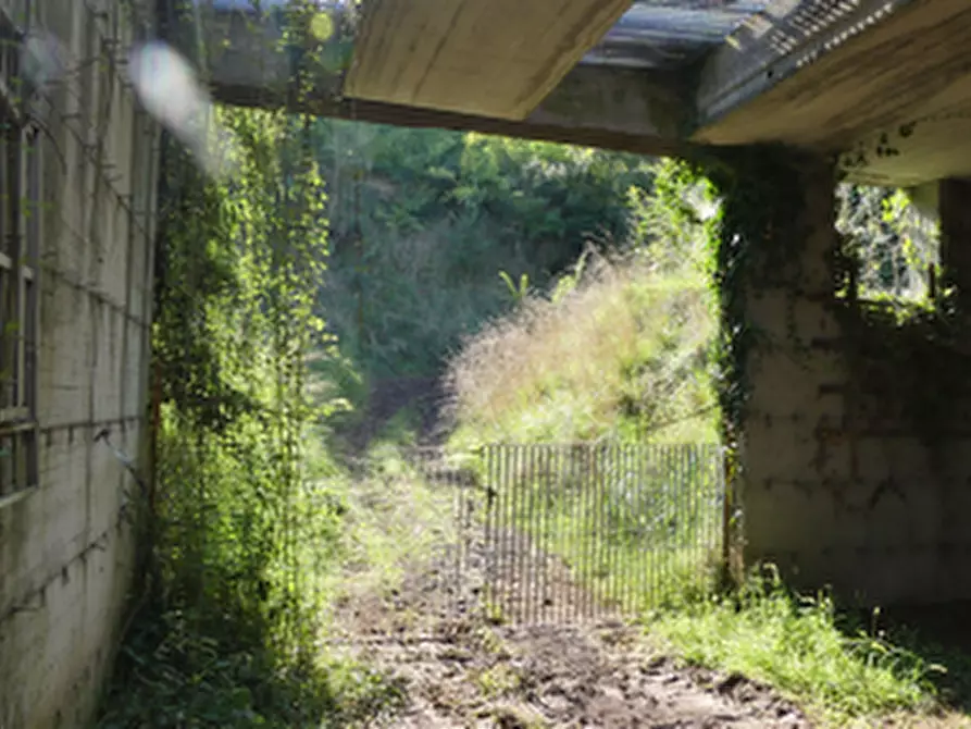 Immagine 6 di Laboratorio in vendita  in Via della Fontana  a Monteforte D'alpone