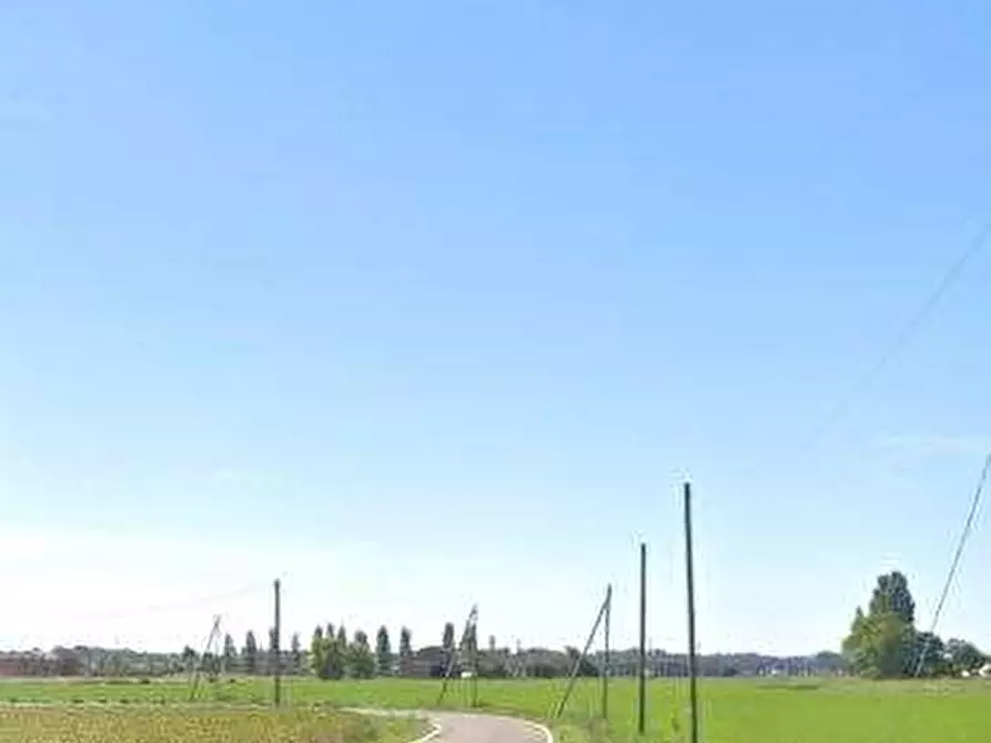 Immagine 12 di Terreno agricolo in vendita  in via Alberello a Argenta