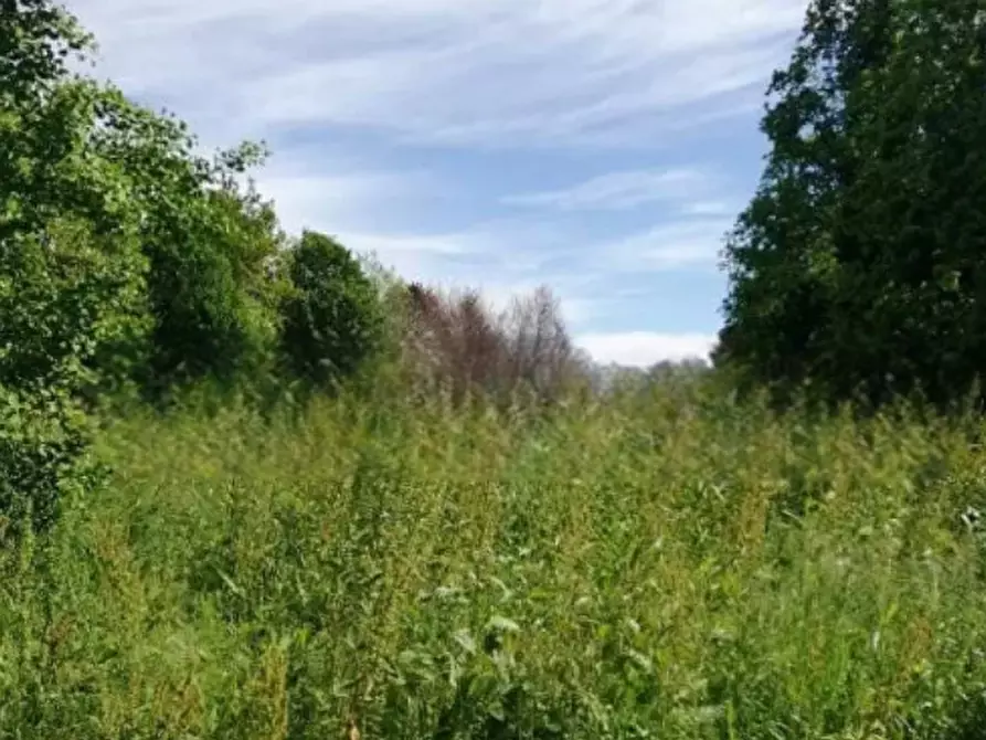Immagine 2 di Terreno agricolo in vendita  in Via Terraglio a Treviso