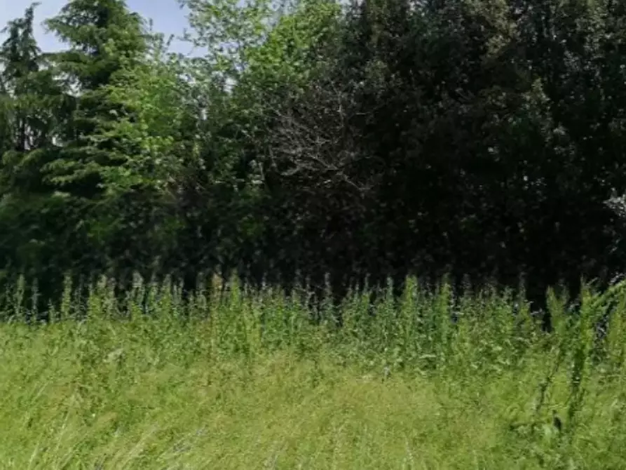 Immagine 1 di Terreno agricolo in vendita  in Via Terraglio a Treviso