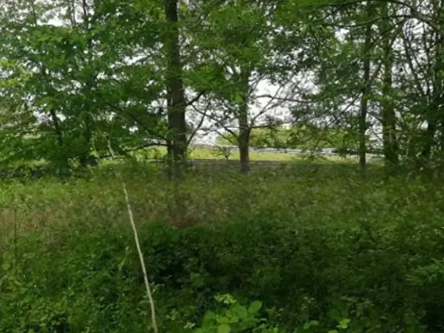 Immagine 2 di Terreno agricolo in vendita  in Via Terraglio a Treviso