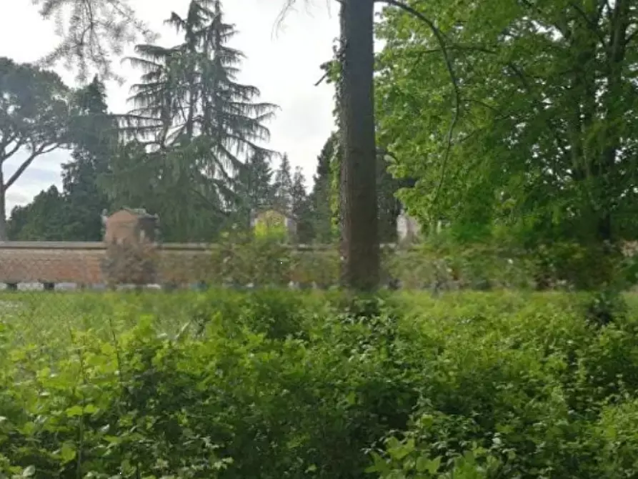 Immagine 3 di Terreno agricolo in vendita  in Via Terraglio a Treviso