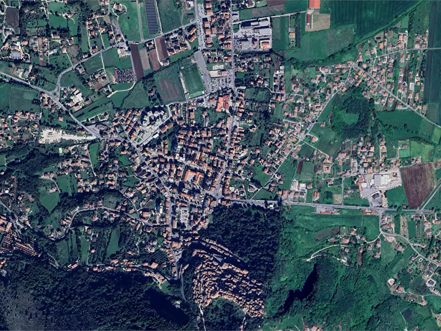 Immagine 13 di Terreno agricolo in vendita  in Località Torricciola a Artena