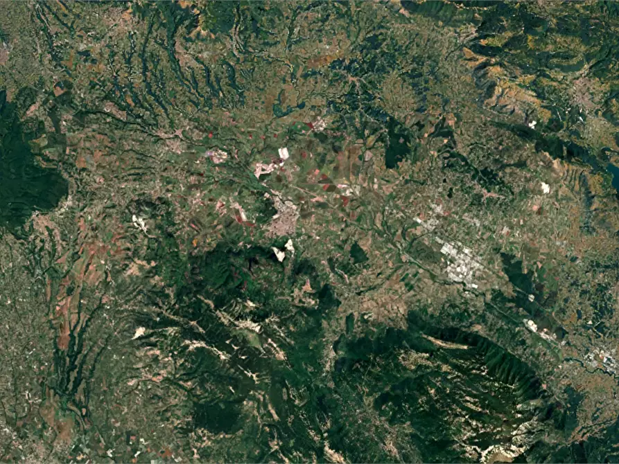 Immagine 16 di Terreno agricolo in vendita  in Località Torricciola a Artena