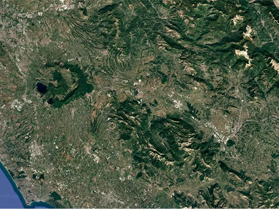 Immagine 17 di Terreno agricolo in vendita  in Località Torricciola a Artena