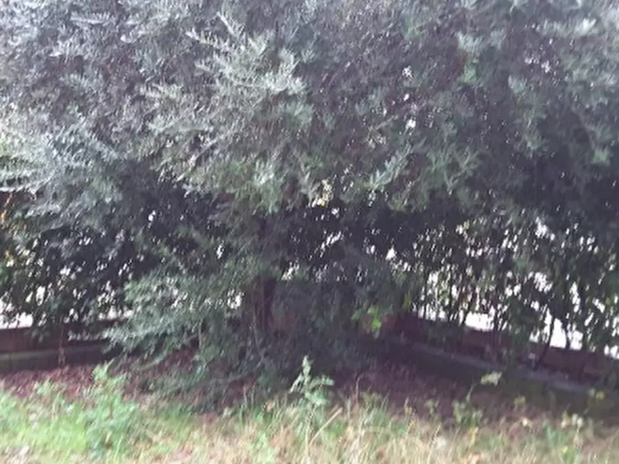 Immagine 4 di Appartamento in vendita  in Via Ugolino da Forlì  a Forli'