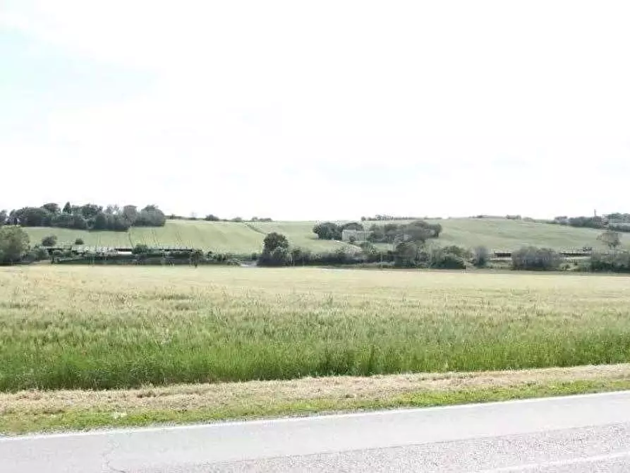 Immagine 1 di Terreno agricolo in vendita  in Via Europa a Mondolfo